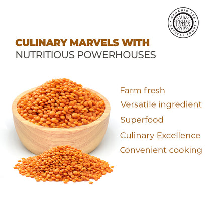 Indian Split Masur Red Lentils - Protein & Fiber Rich Masoor Dal Jar