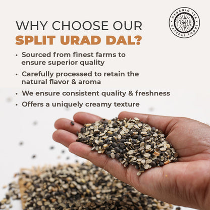 Indian Split Black Gram Matpe Beans - Protein & Fiber Rich Urad Dal Jar